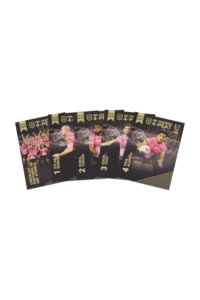 2024 NRL Limited Edition Premiership Sets