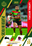 NRL In Focus Round 10
