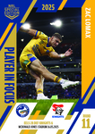 NRL In Focus Round 11