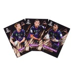 2017 NRL Limited Edition Premiership Set Unsigned - Storm